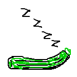 Sleeping Zucchini